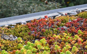 the cost of Low Borrowbridge green roof installation